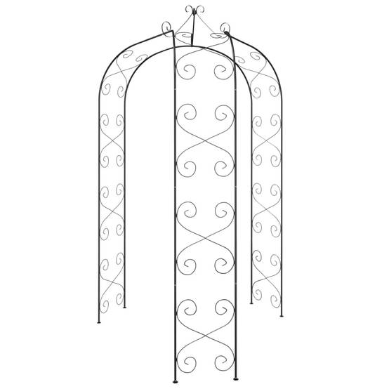 Arche de jardin - Treillis de Jardin Noir Ø180x255 cm Acier - Image 3