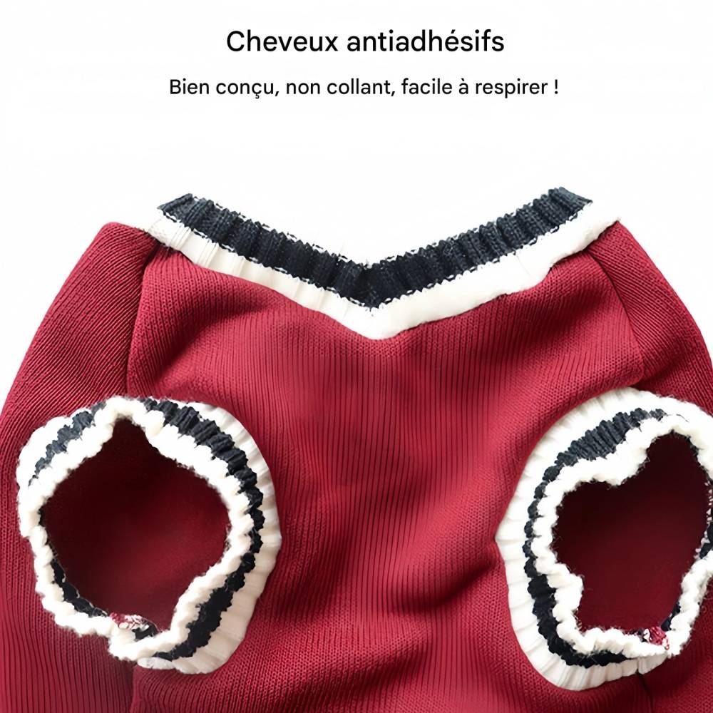 Pull chaud d'hiver pour chien S IntiMeg - Image 4