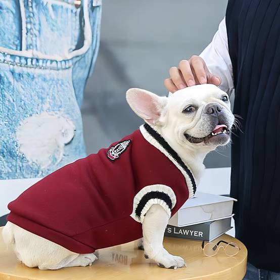 Pull chaud d'hiver pour chien S IntiMeg - Image 5