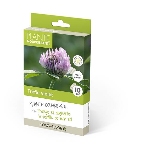 Tréfle violet - Engrais vert pour 100 m?