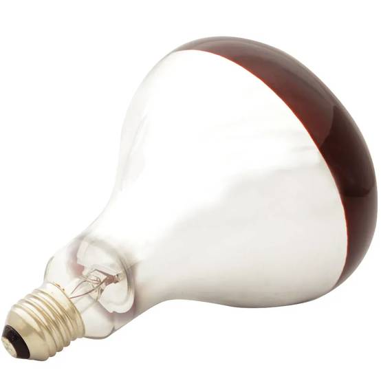Autre - Ampoule chauffante infrarouge 250 W - Image 1