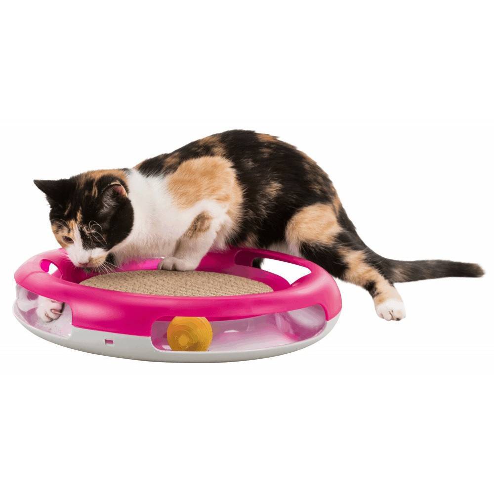 Trixie - Jouet pour chat Race & Scratch ø 37 cm - Imagen 3