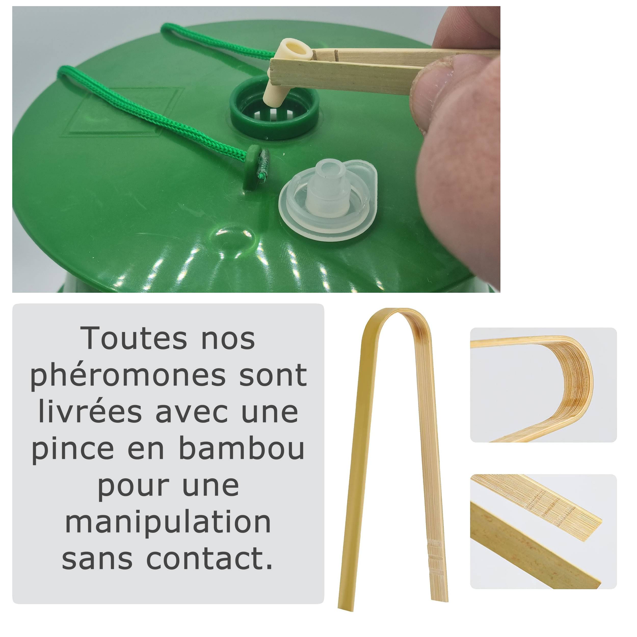 SOLUPHERO - Kit 1 Piège Funnel + 3 Phéromones Processionnaire du Chêne Bio - 1 Capsule 4 Semaines - Image 3