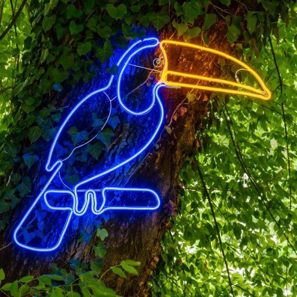Lotti - Lampe néon déco toucan 560 LED bleu et orange 90x95 cm IP44 24V Lotti - Imagen 1
