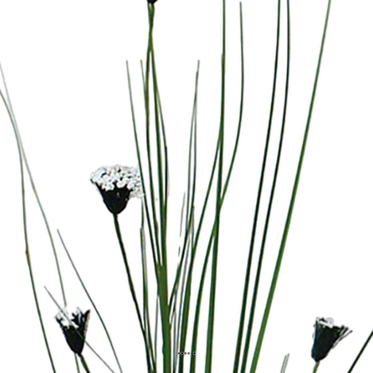 Artificielles - Herbe artificielle en piquet H85 cm crème-vert - Imagen 3