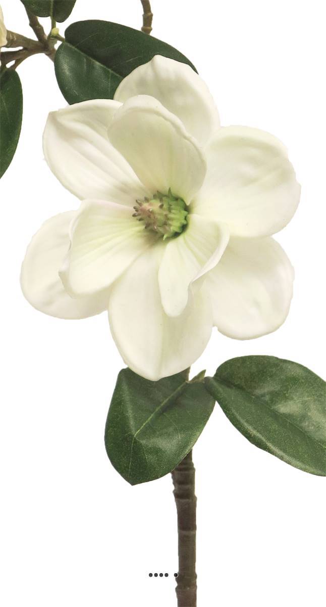 Artificielles - Magnolia du Japon artificiel en tige, H 51 cm Crème - BEST - couleur: Crème - Imagen 3