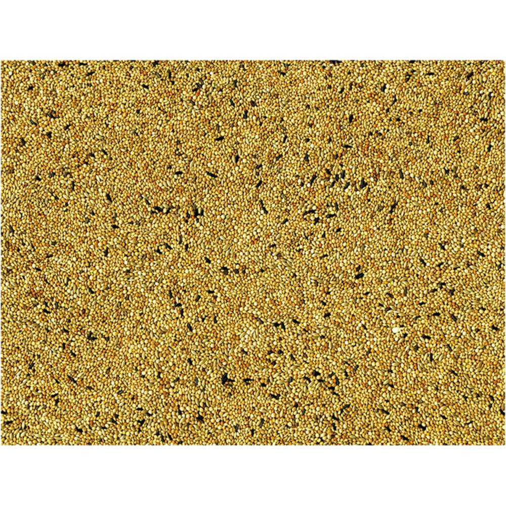 Gasco - Gasco - Semillas para aves exóticas, 5 kg - Imagen 2