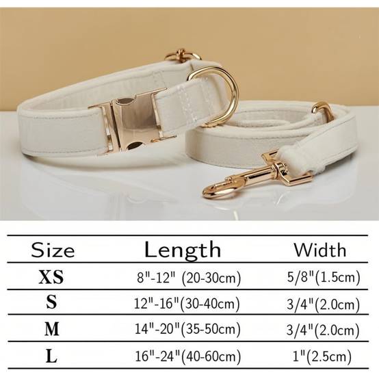 Collier et Laisse Réglable pour Chien S DtopbuyAge - Image 4