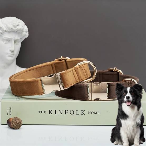 Collier et Laisse Réglable pour Chien S DtopbuyAge - Image 3