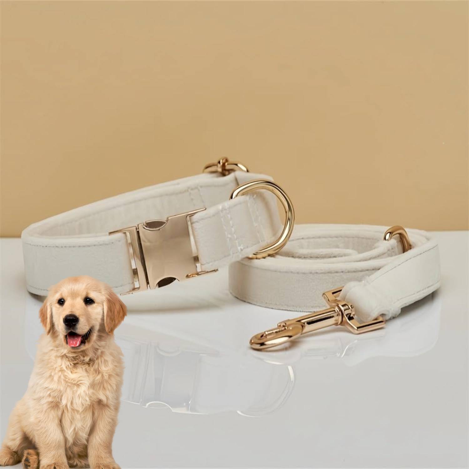Collier et Laisse Réglable pour Chien S DtopbuyAge - Image 5