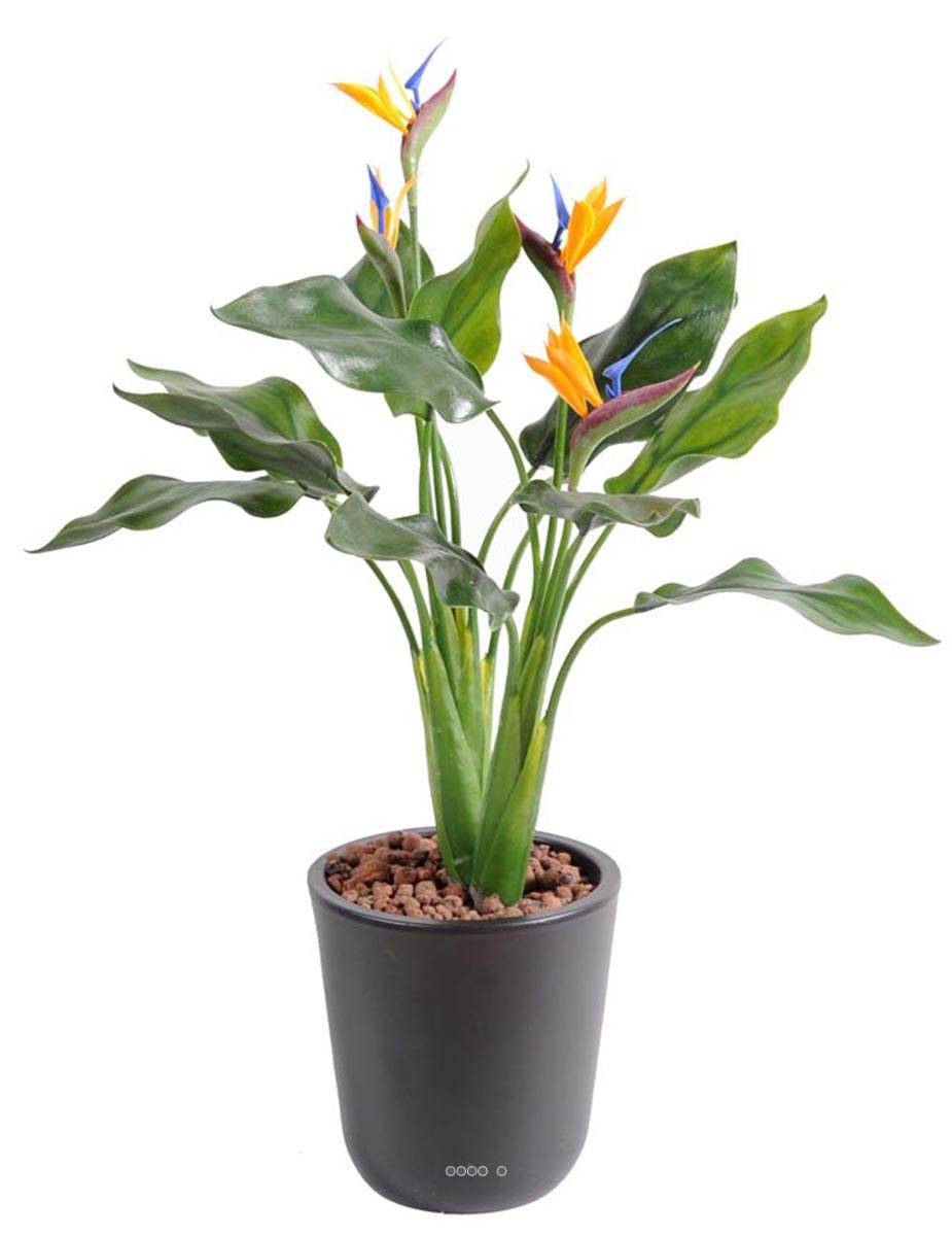 Artificielles - Strelizia arabica plastique H 50 cm 4 fleurs L 35 cm en piquet extérieur