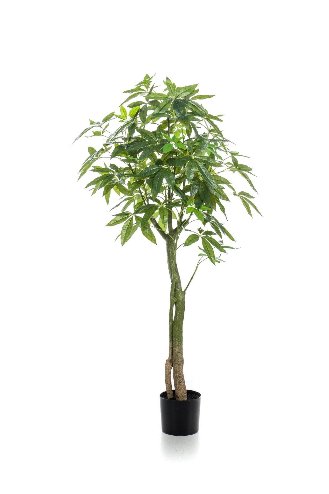 La Green Touch - Pachira Aquatica plante artificielle - h150cm, Ø17cm- La Green Touch - Imagen 5