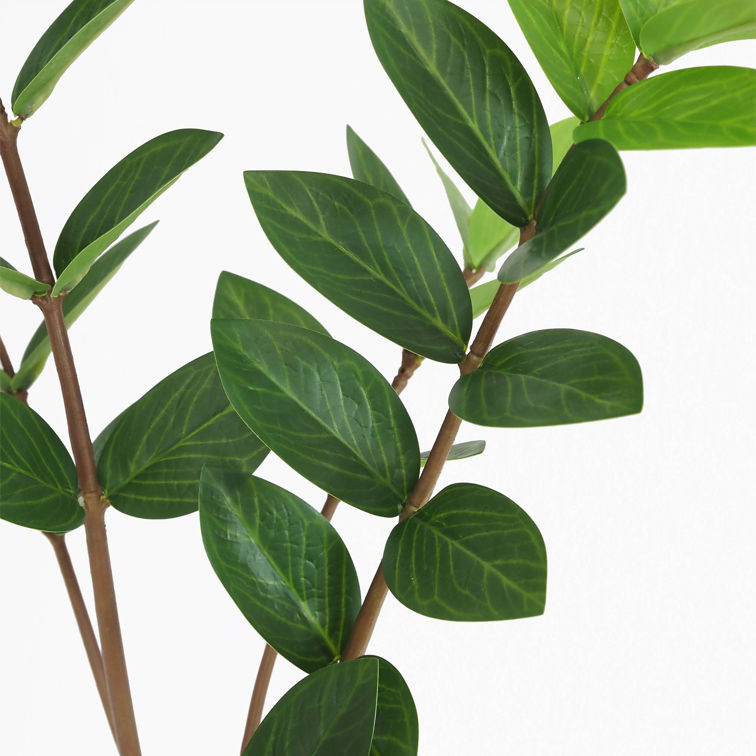 Ligne Deco - Plante verte zamioculcas artificiel 48cm - Image 4