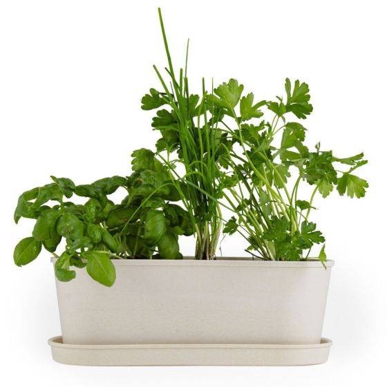 Radis et Capucine - Radis et Capucine - Jardinière en bambou - Aromates - Imagen 8