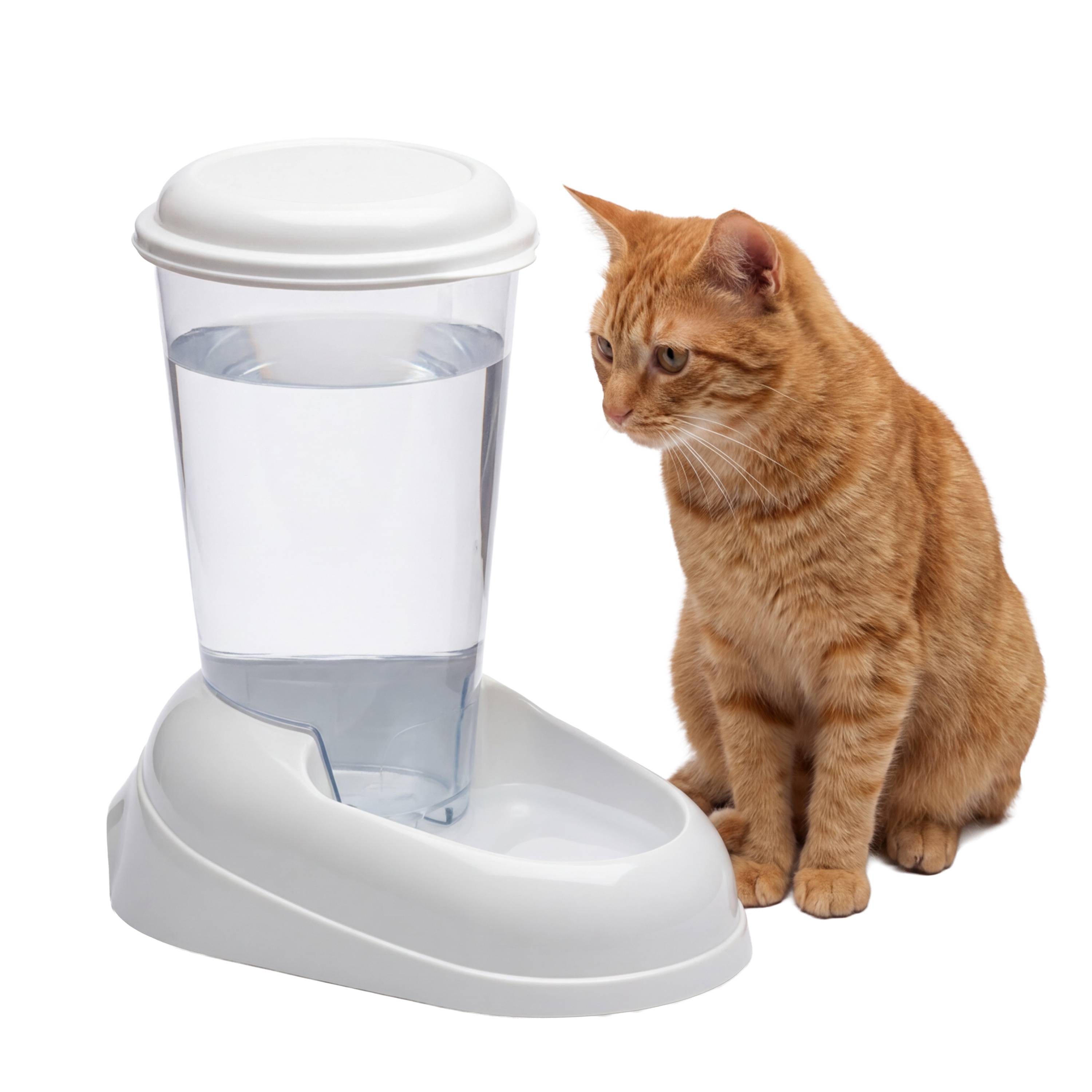 Ferplast - Ferplast Distributeur d'eau pour chat et chien NADIR, Abreuvoir 3 litres pour petits et moyens chiens, fond antidérapant, 29,2 x 20,2 x h 28,8 cm - Imagen 4