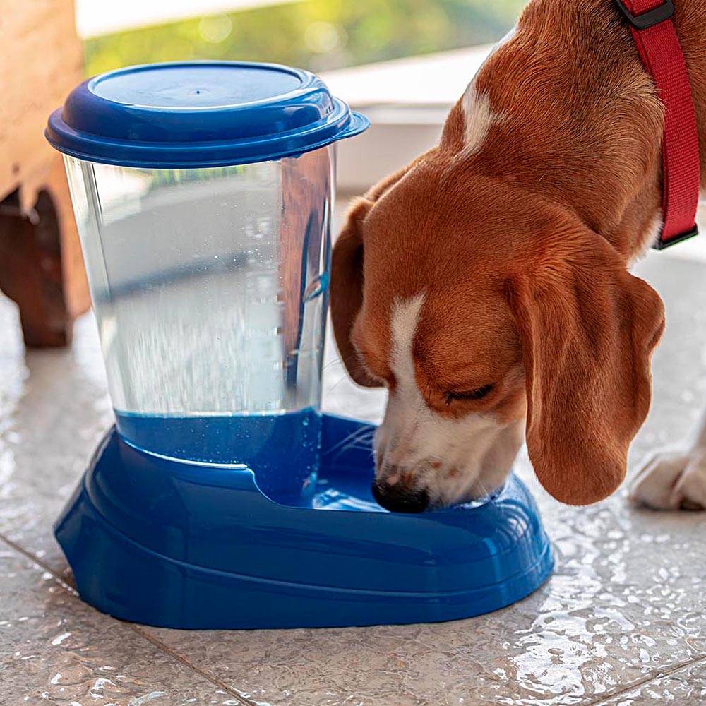 Ferplast - Ferplast Distributeur d'eau pour chat et chien NADIR, Abreuvoir 3 litres pour petits et moyens chiens, fond antidérapant, 29,2 x 20,2 x h 28,8 cm - Imagen 3