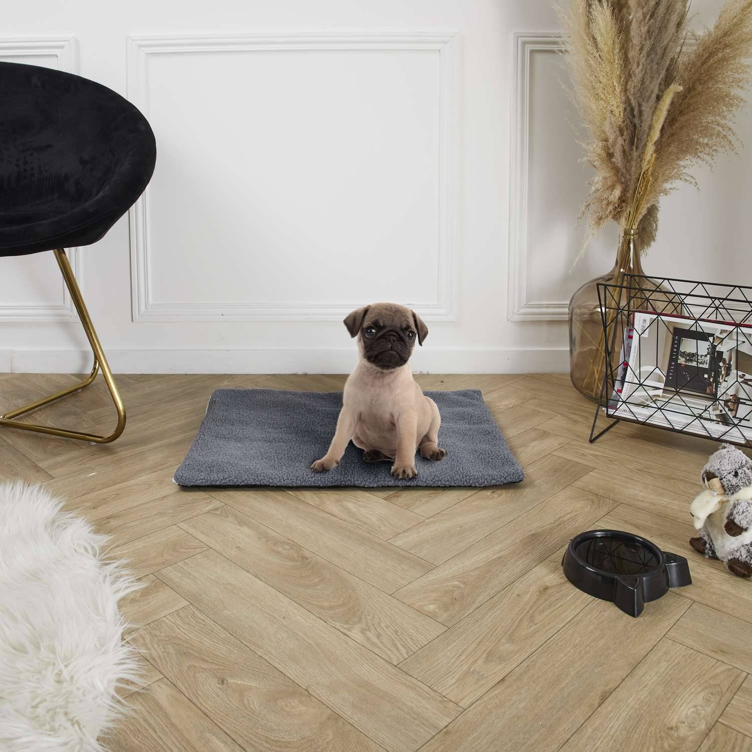 The Concept Factory - Tapis thermique isolant pour chien et chat - Gris - The concept factory - Imagen 3