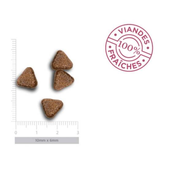 Croquettes Chien Sans Céréales Agneau Sensible Amanova 10 kg - Image 4