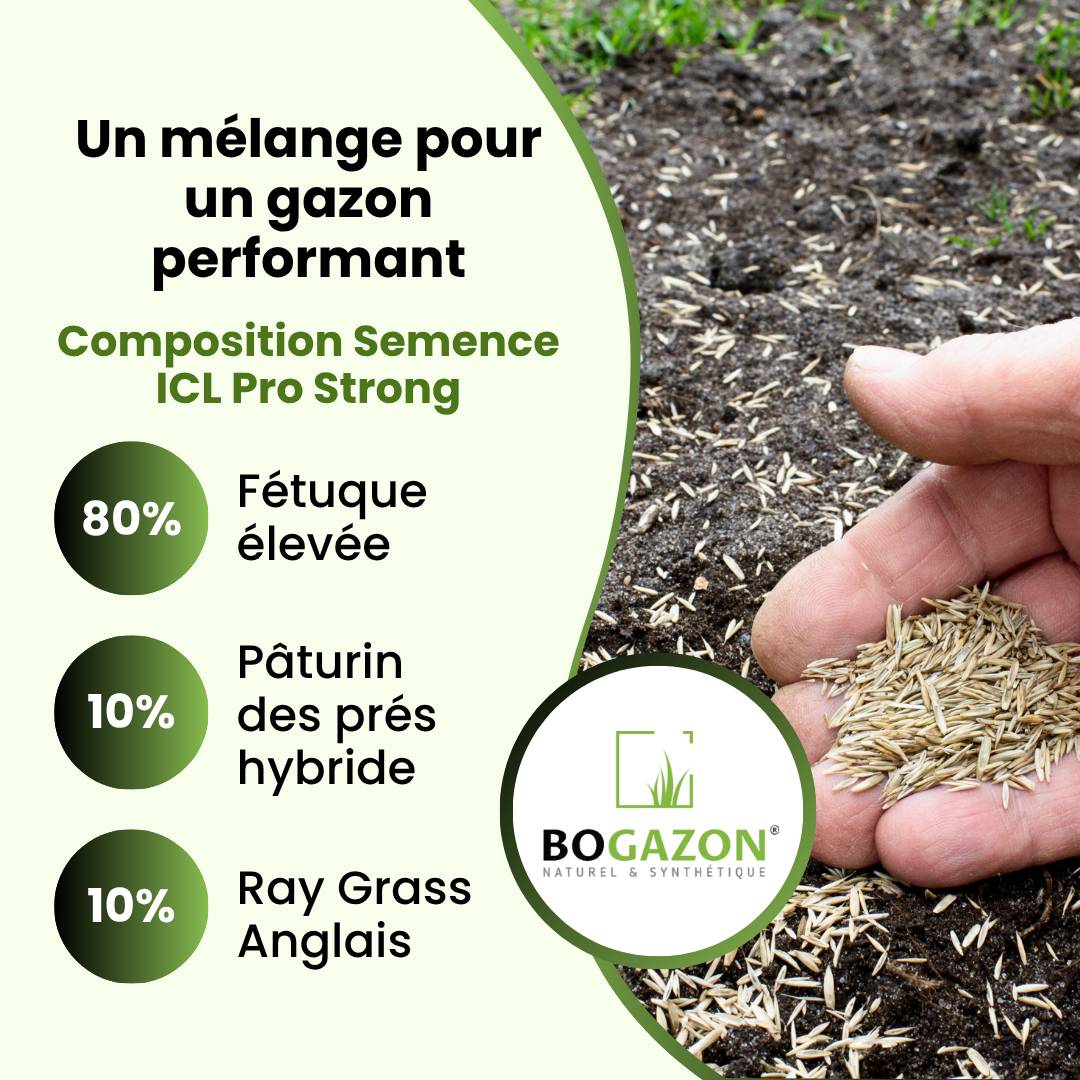 Gazon a semer ICL Pro Strong 10 kg| Graines de Gazon Rustique Résistant Sécheresse Racines Profondes | Semence Universel au Rendement Élevé - Image 5