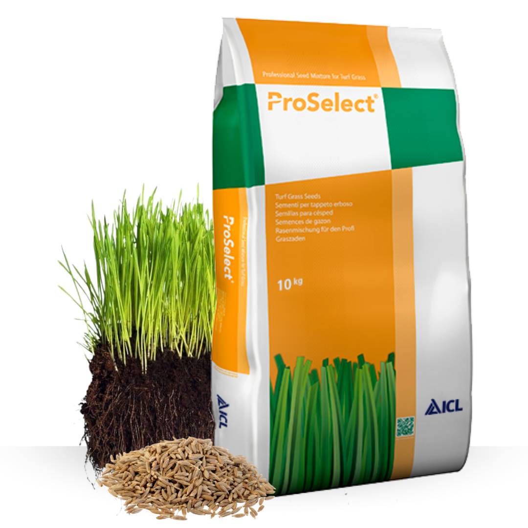 Gazon a semer ICL Pro Strong 10 kg| Graines de Gazon Rustique Résistant Sécheresse Racines Profondes | Semence Universel au Rendement Élevé