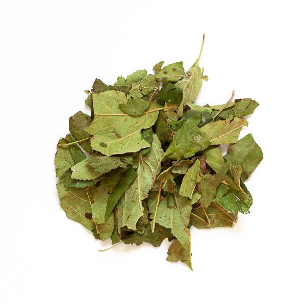 Feuilles de pommier - 50 g - L'Eden des Pattounes