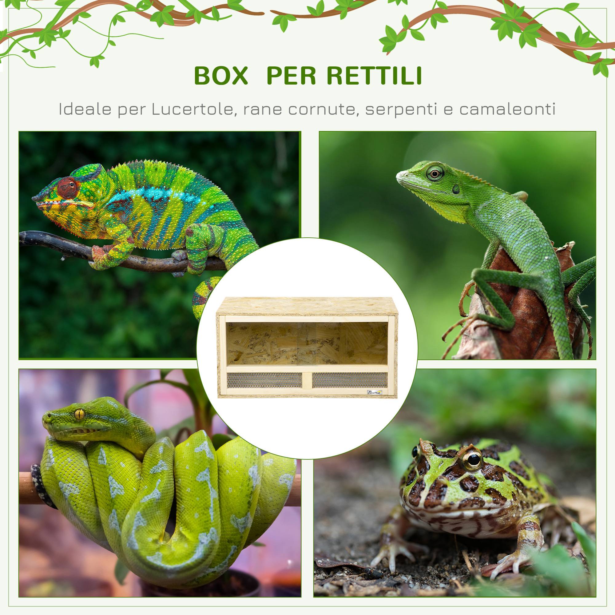 Terrarium reptile bois 60×29,5×29,5cm, portes vitrées coulissantes, panneaux grillagés - Image 6