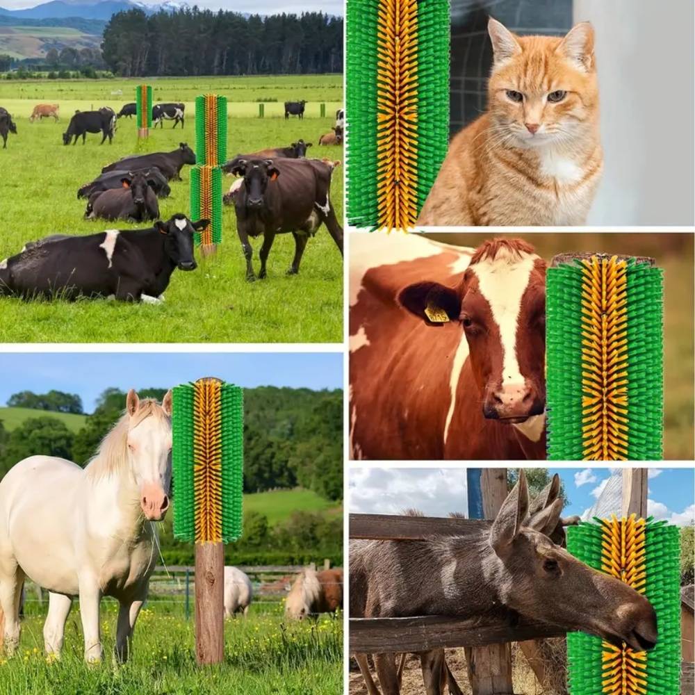 IntiMeg - Brosse de nettoyage pour chevaux IntiMeg - Image 2
