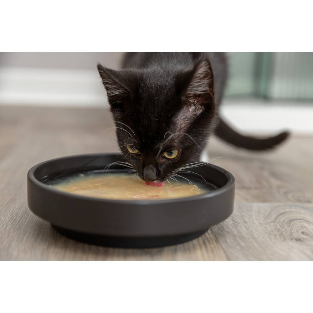 Trixie - Soupe au poulet et aux crevettes 4 x 80 g pour chat - Image 3