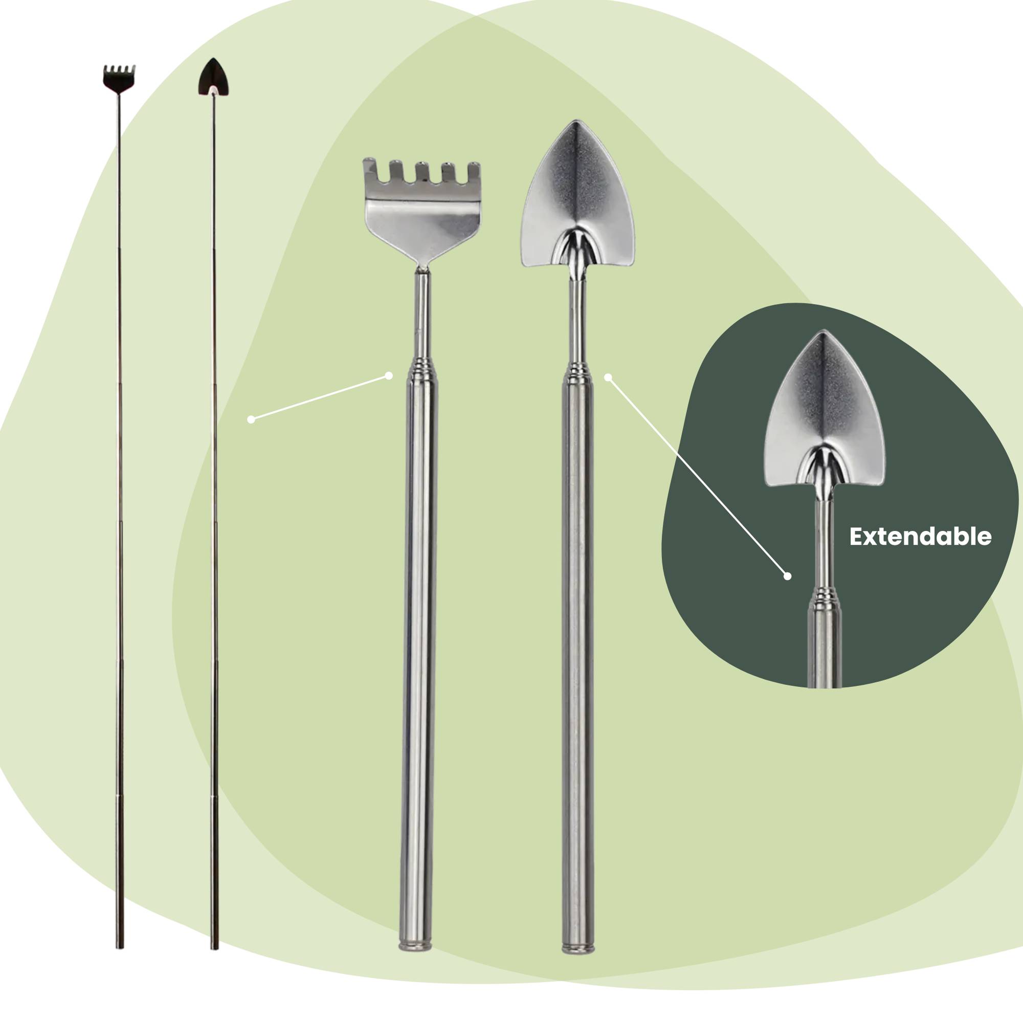 PANGIVO - Kit d'outils pour terrarium râteau et pelle - PANGIVO