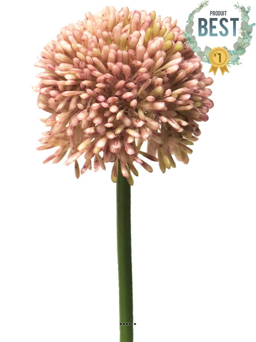 Artificielles - Allium artificiel en tige H 45 cm Rose - BEST - couleur: Rose - Imagen 1