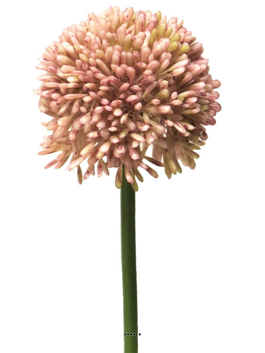 Artificielles - Allium artificiel en tige H 45 cm Rose - BEST - couleur: Rose - Imagen 2