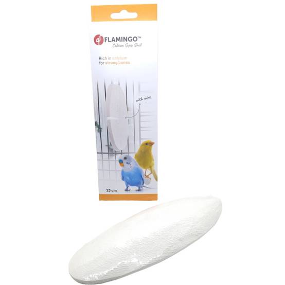 Un Os de seiche blanc 23 cm avec attache pour oiseaux - Image 6