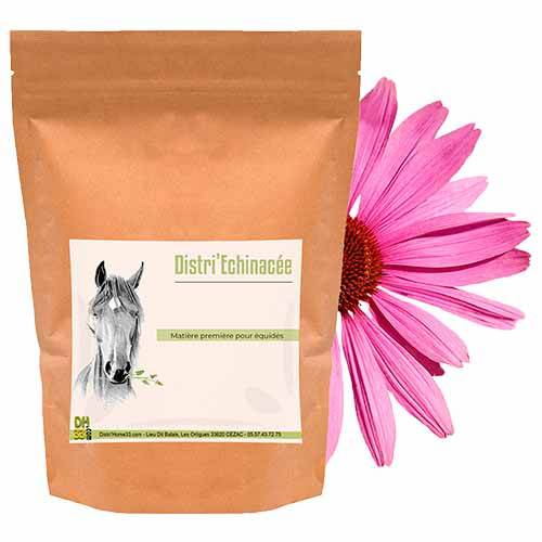 Echinacée Cheval - Accompagne les défenses immunitaires - 900g - Distri’Horse33 - Imagen 1