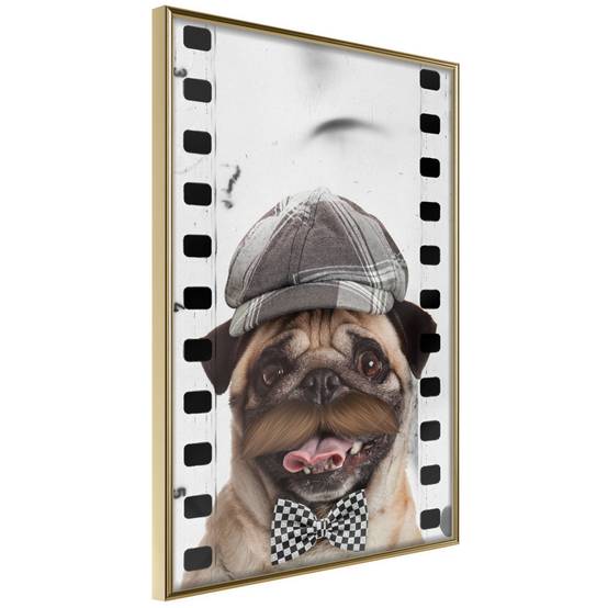 Affiche Murale Encadrée "Dressed Up Pug" 40 x 60 cm Or - Image 1