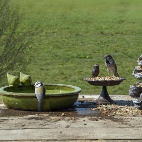 Esschert Design - Bain d'oiseaux ou mangeoire grand modèle en céramique vert - Image 1