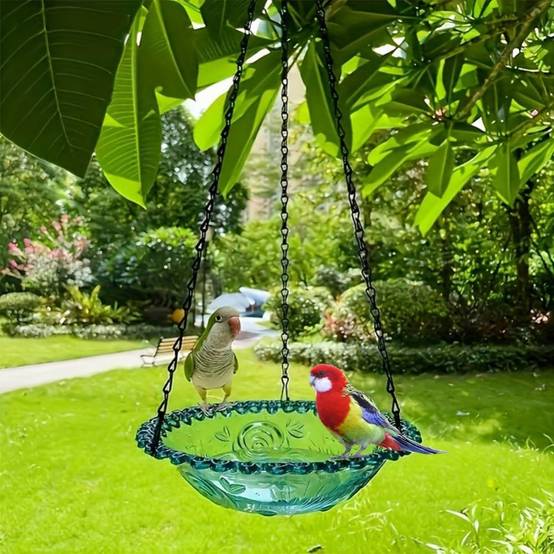 Mangeoire et bain d'oiseaux-suspendu - Plateau plastique transparent - Chaînes métalliques stables - 23,5 x 40 cm - Living123 - Image 2