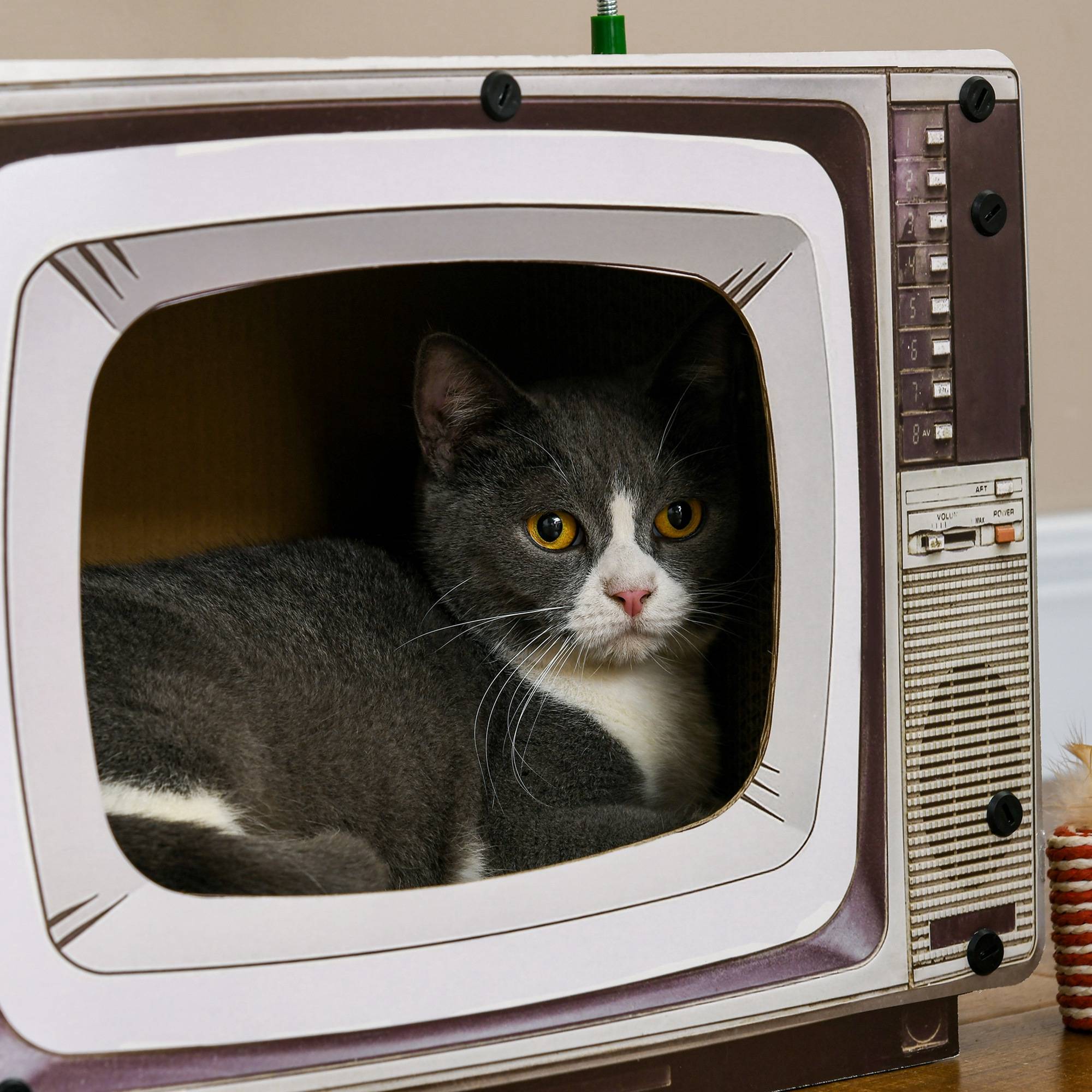 Maison Griffoir pour Chat en Carton Forme TV avec Souris et Herbe à Chat Sable - ComfortXL Outdoor Living - Image 10