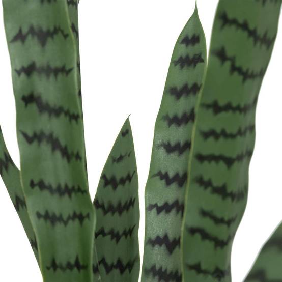 Sansevieria artificielle avec pot plastique - H. 90 cm - Vert - Atmosphera - Image 2