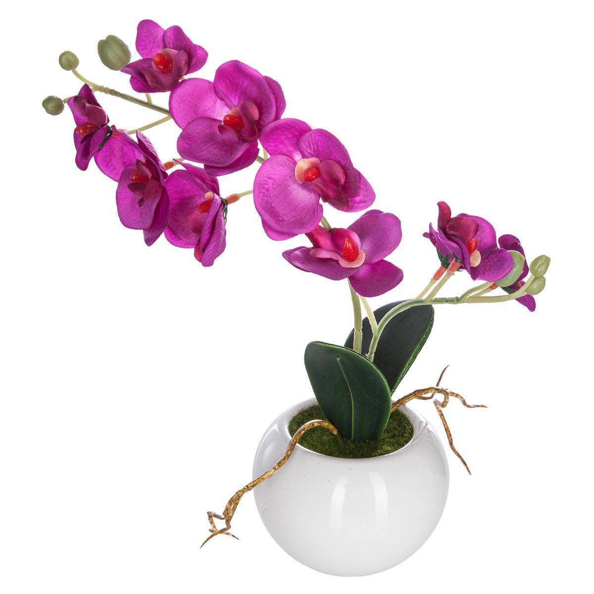 Atmosphera - Orchidée artificielle pot céramique H25cm - Atmosphera Créateur d'intérieur - Imagen 1