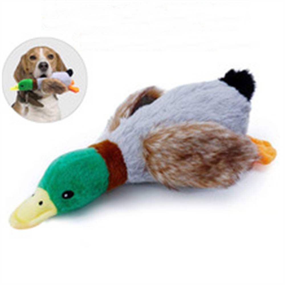 DtopbuyAge - Jouet en peluche de canard pour chien DtopbuyAge - Image 1