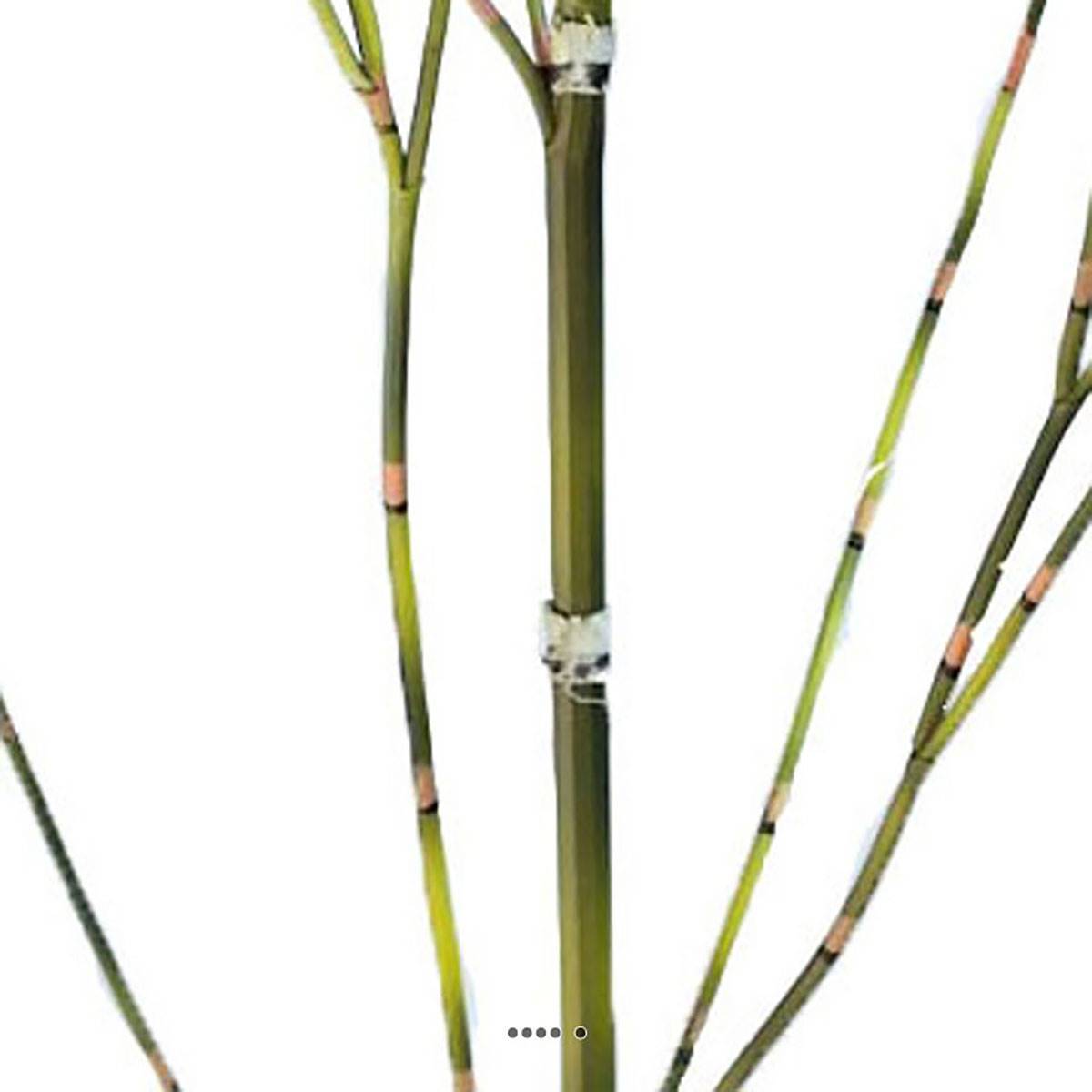 Artificielles - Fausse canne de bambou H 105 cm - Imagen 3