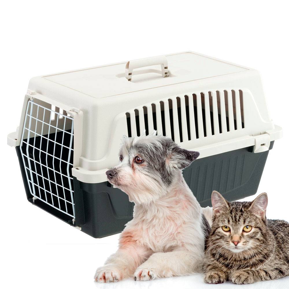 Ferplast - Ferplast Caisse de Transport Chat, Cage de Transport pour Chiens Petits et Chats jusqu'à 8 Kg, Porte en Fer Plastifié, Fentes d'aération, 37 x 58 x h - Imagen 6
