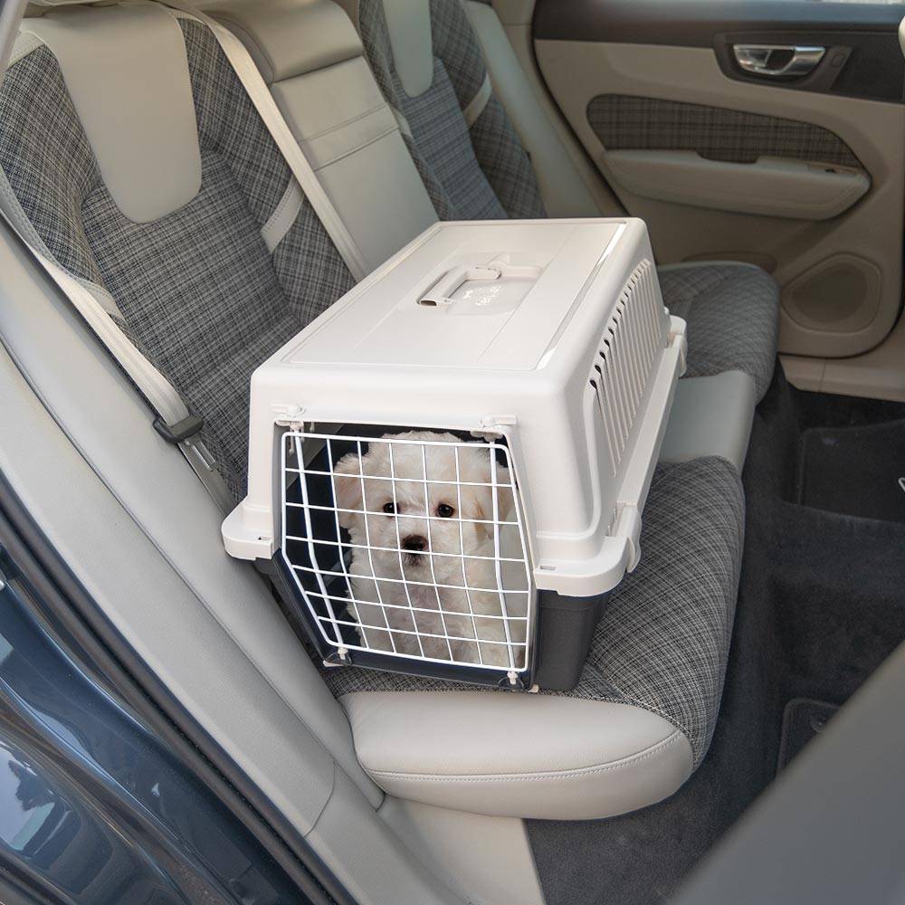 Ferplast - Ferplast Caisse de Transport Chat, Cage de Transport pour Chiens Petits et Chats jusqu'à 8 Kg, Porte en Fer Plastifié, Fentes d'aération, 37 x 58 x h - Imagen 3