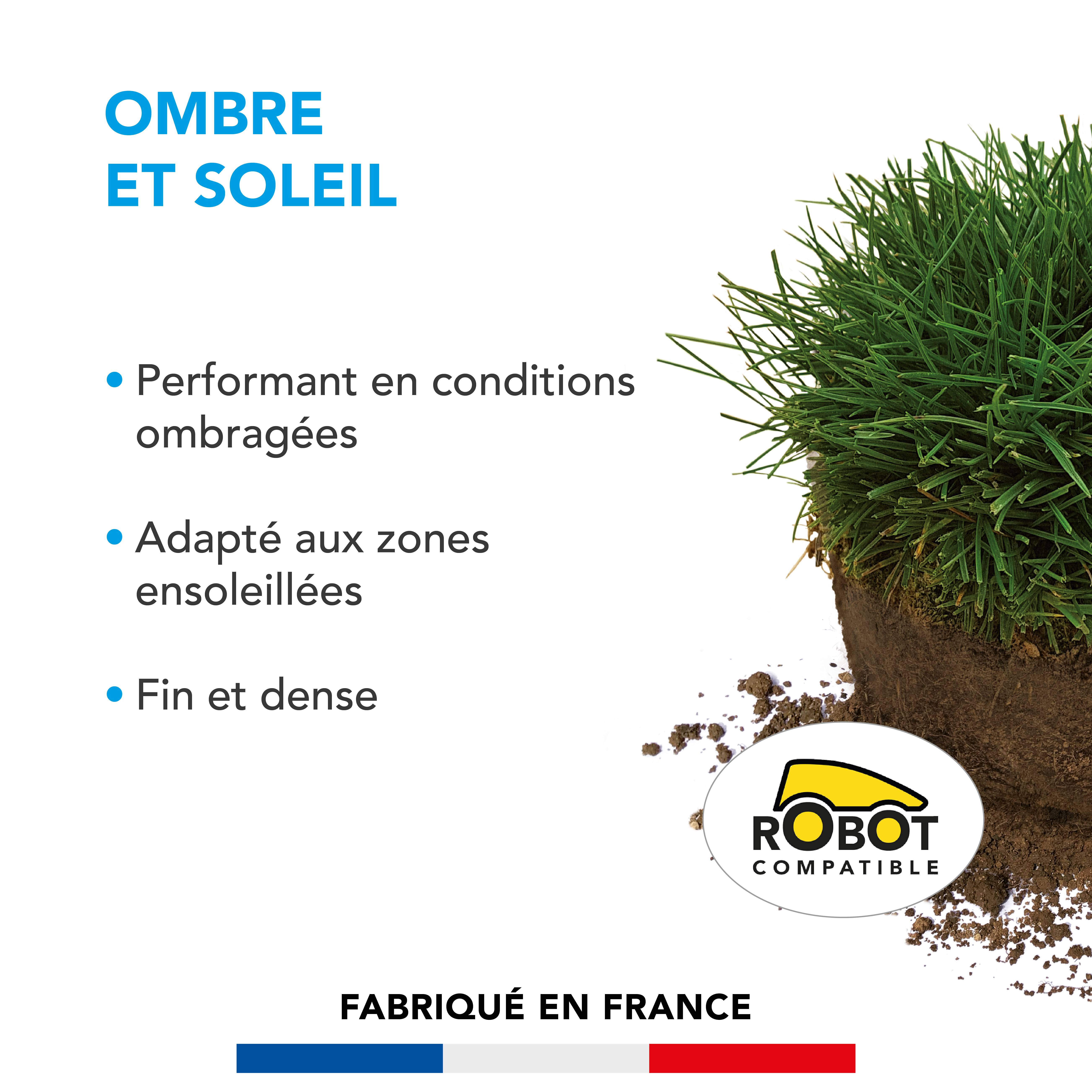 Gazon Ombre et Soleil - Performant en Conditions Ombragées - Adapté aux Zones Ensoleillées - Fin et Dense - 1KG - BARENBRUG - Image 2