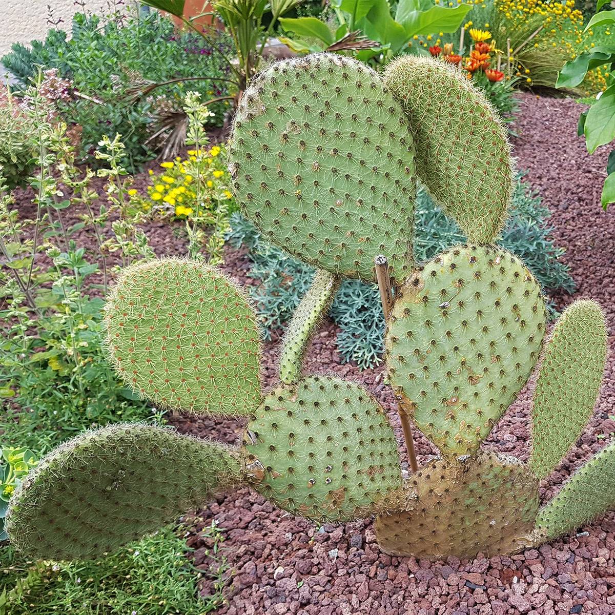 cactus pipe Glow-in-the-dark Cactus Silicone Pipe with Glass Bowl