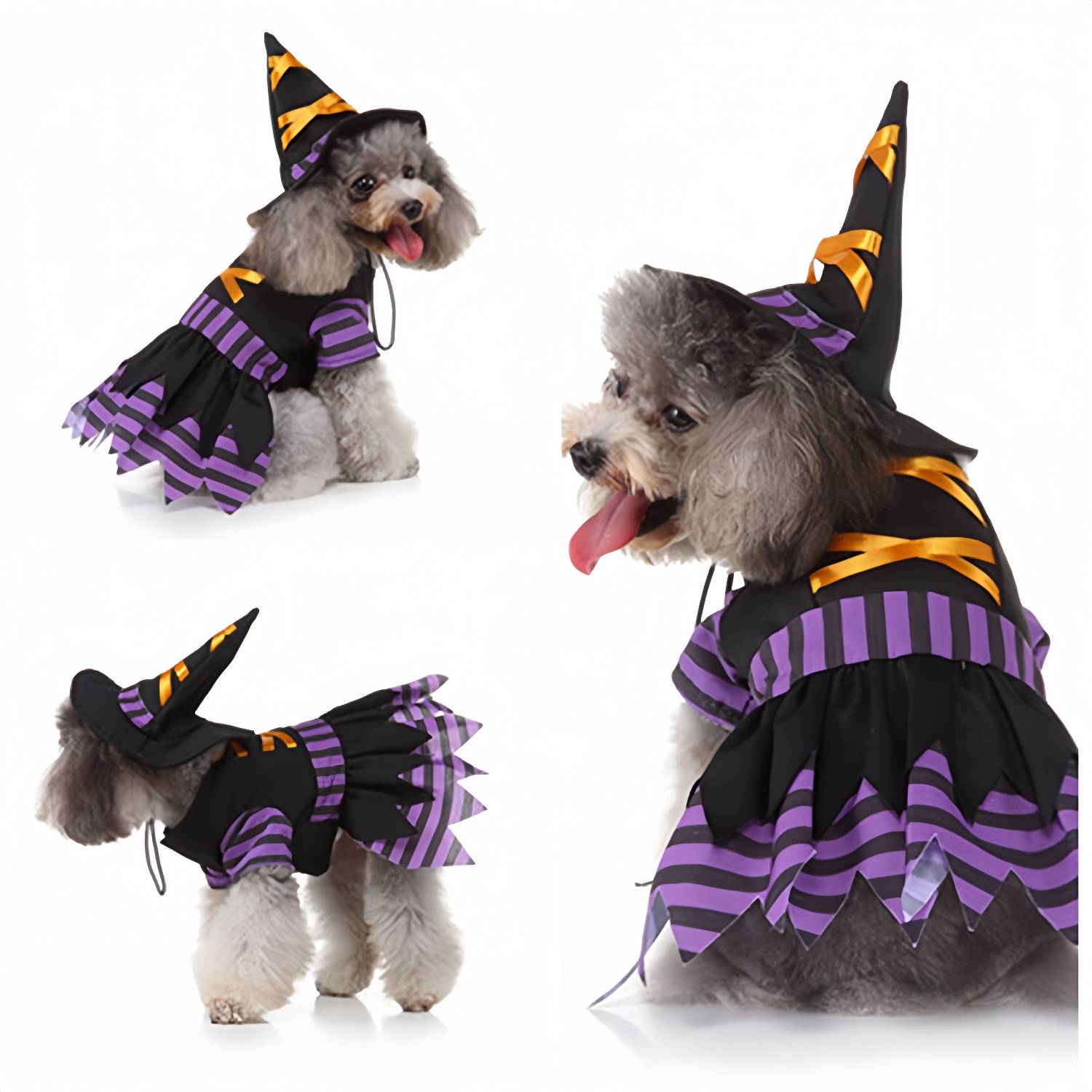 DtopbuyAge - Déguisement Sorcière pour Petit Chien M DtopbuyAge - Image 1