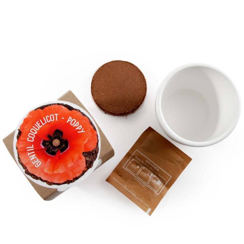 Radis et Capucine - Graines de coquelicot à semer dans un pot en céramique - Imagen 3