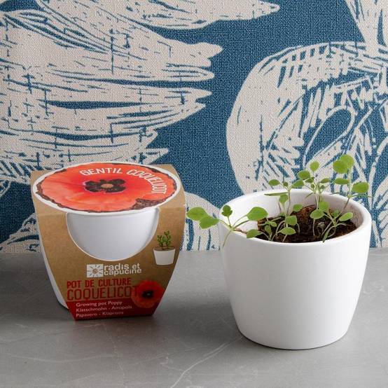 Radis et Capucine - Graines de coquelicot à semer dans un pot en céramique - Imagen 1