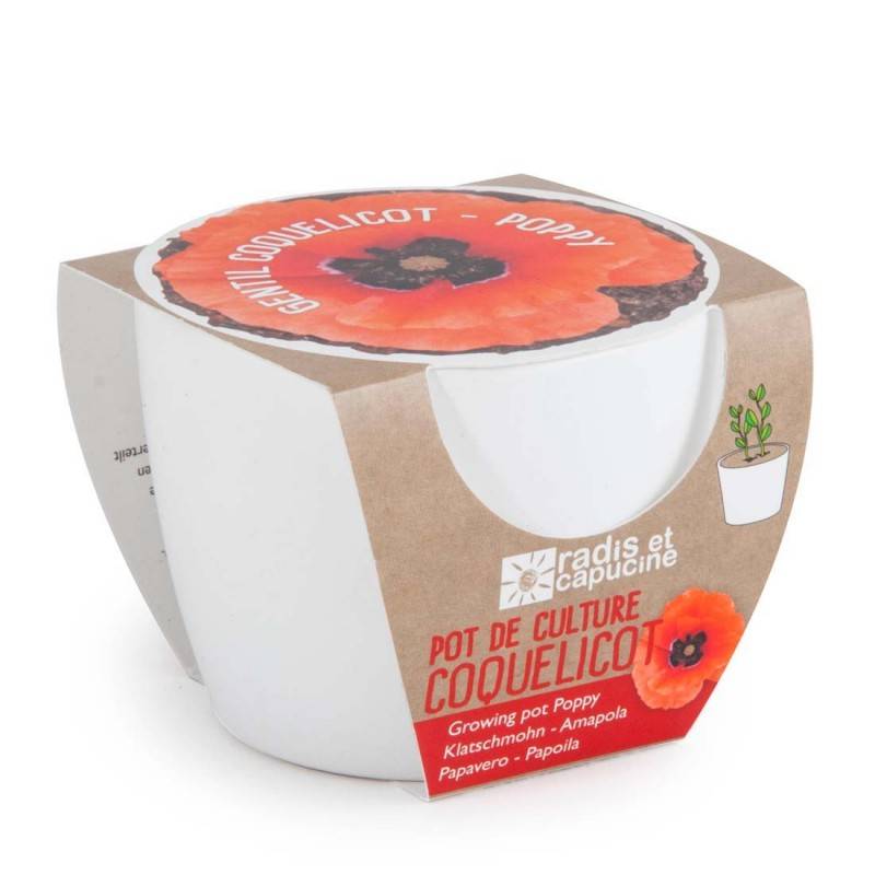 Radis et Capucine - Graines de coquelicot à semer dans un pot en céramique - Imagen 4