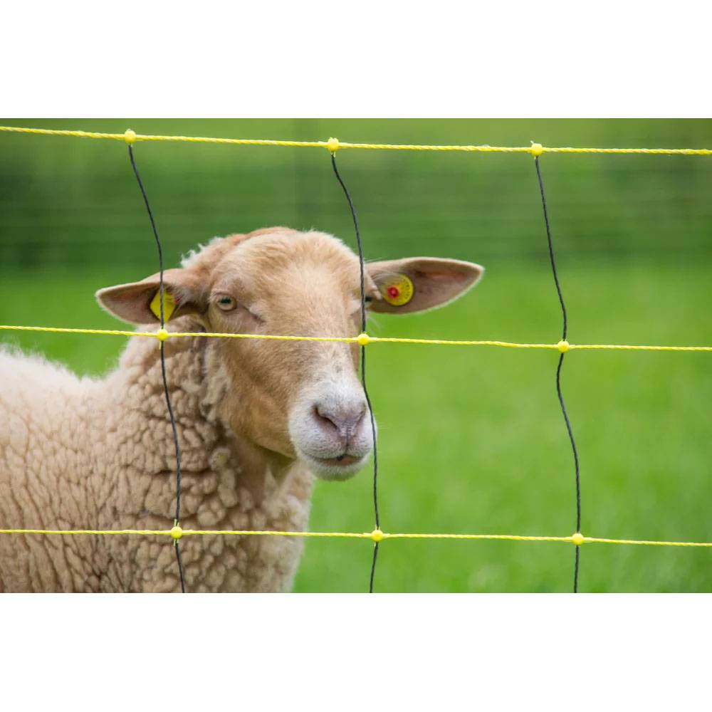 Horizont - Filet anti-loups 50 m, h 90/120 cm, double pointe, horinetz super - Imagen 3